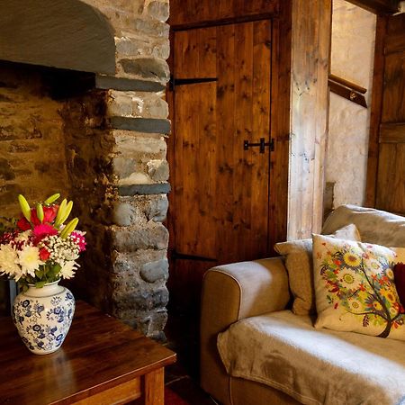 Deer House Villa Machynlleth Kültér fotó