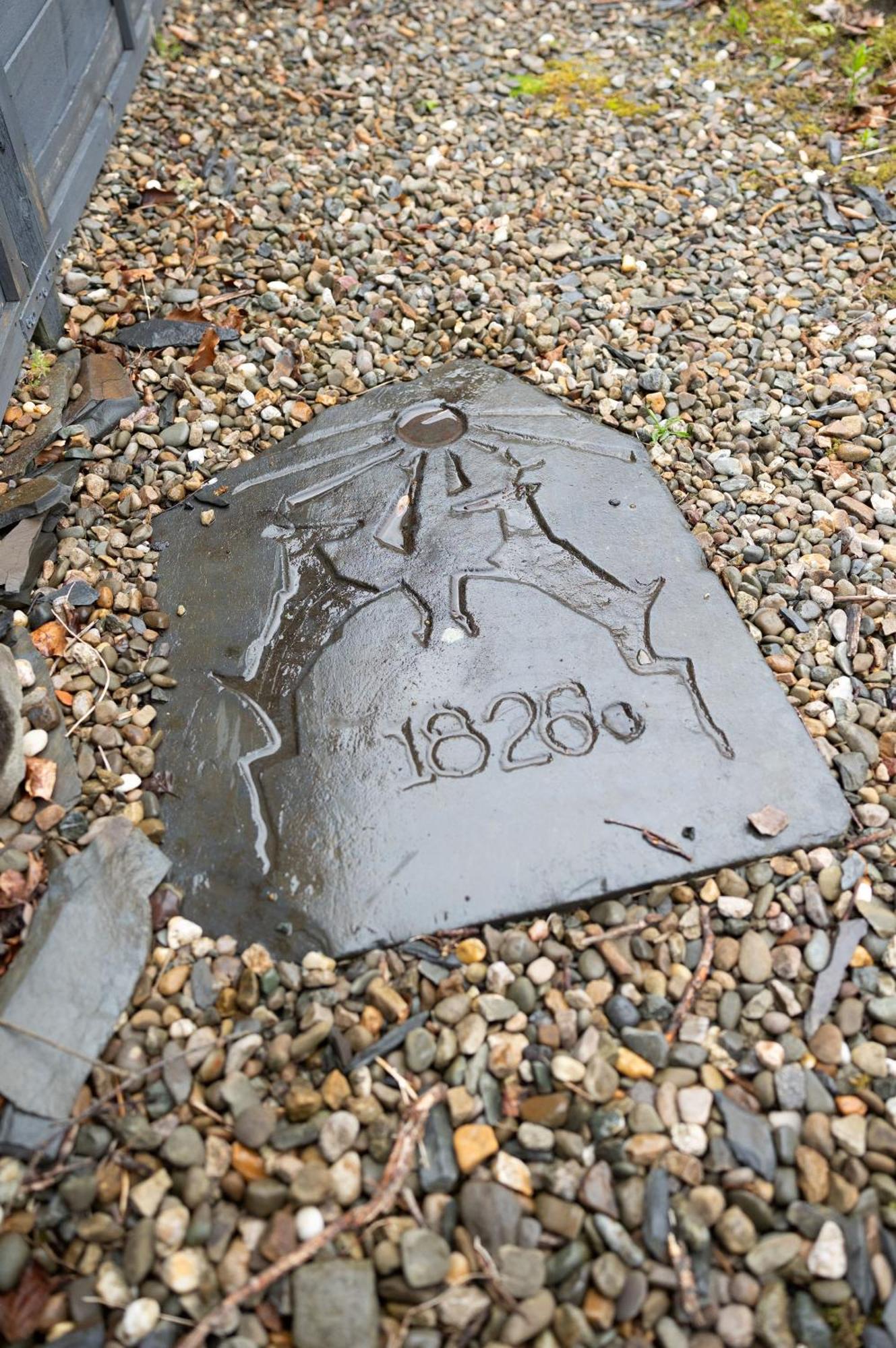 Deer House Villa Machynlleth Kültér fotó