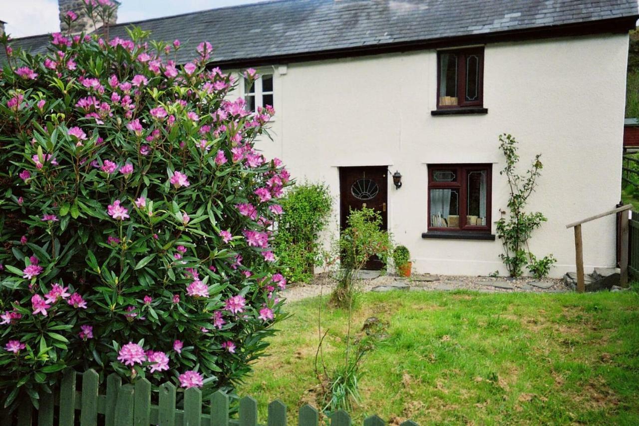 Deer House Villa Machynlleth Kültér fotó