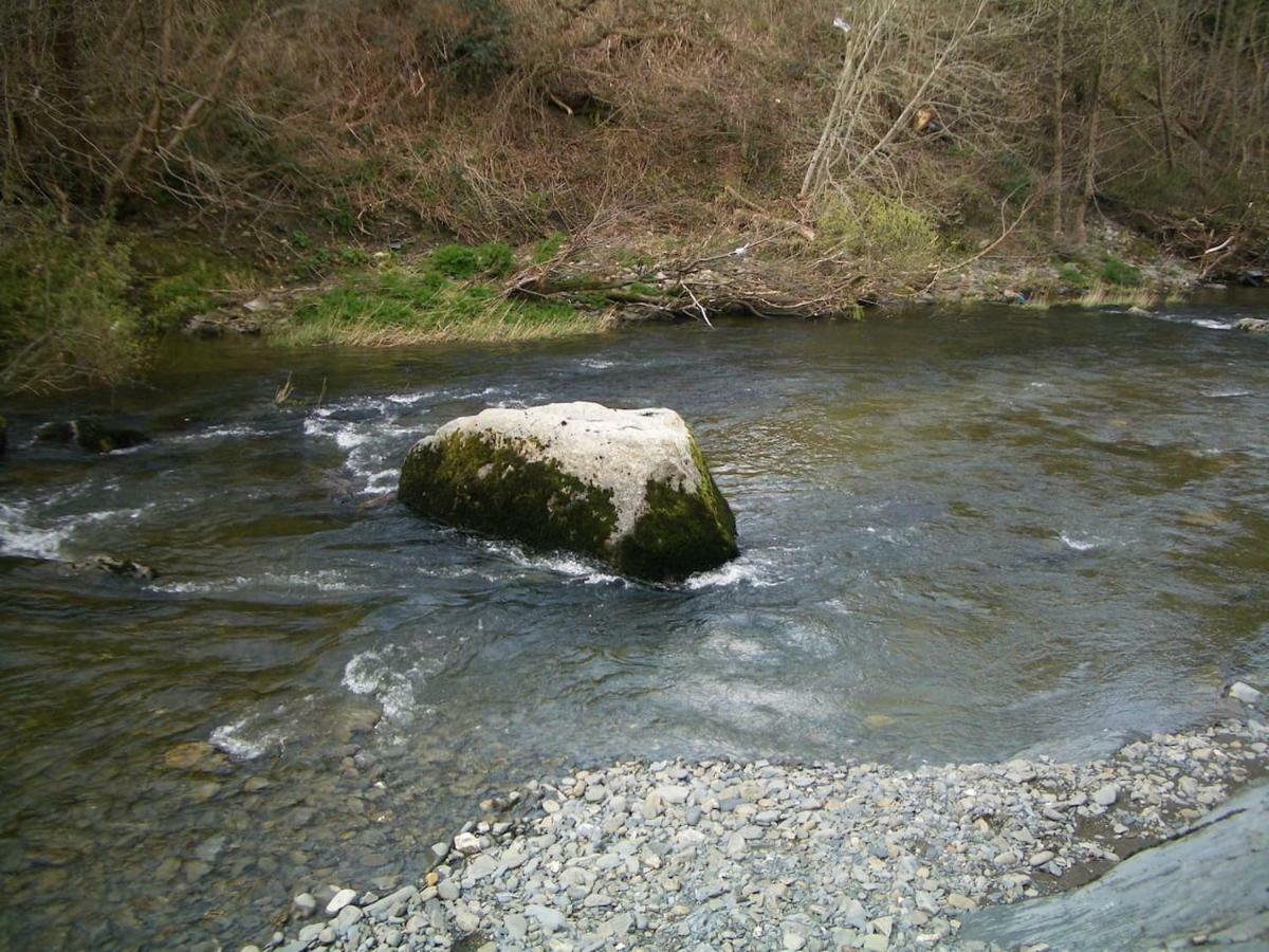 Deer House Villa Machynlleth Kültér fotó